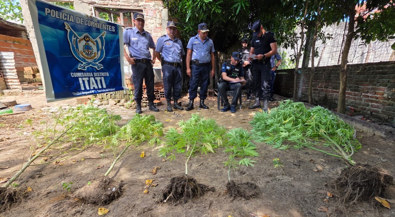 Policiales Itati secuestran plantas de marihuana y demoran una persona