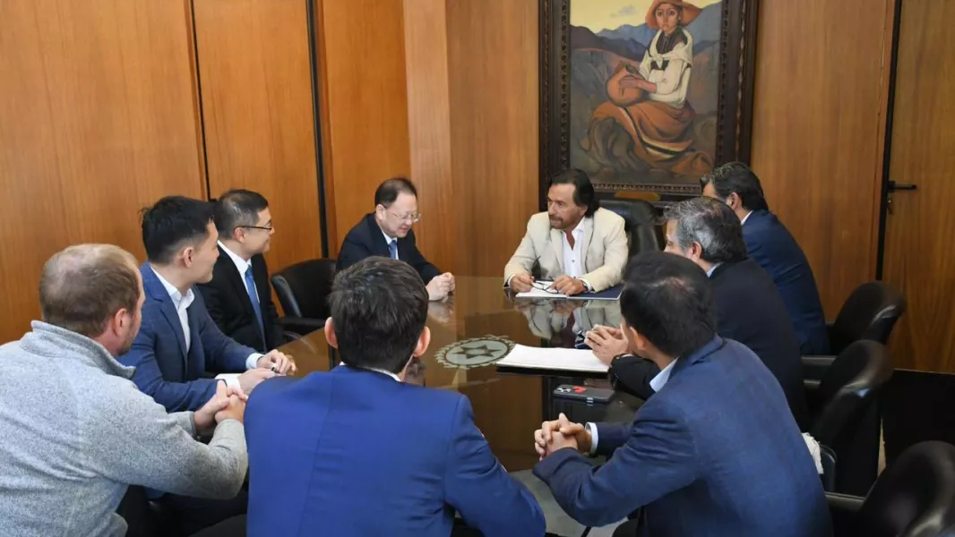 Salta busca consolidar nuevas inversiones en litio: Ganfeng proyecta una producción de hasta 200.000 toneladas anuales