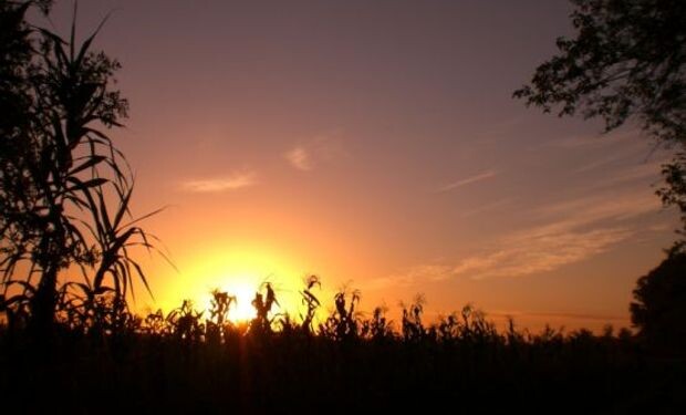 24-1.jpg MIÉRCOLES A PURO SOL EN SANTIAGO DEL ESTERO: LA MÁXIMALLEGARÁ A 34°C