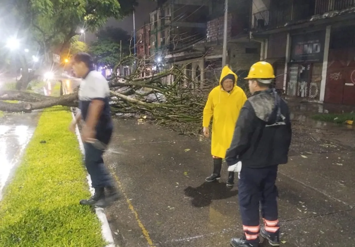Fuerte tormenta y ráfagas de viento provocaron la caída de árboles