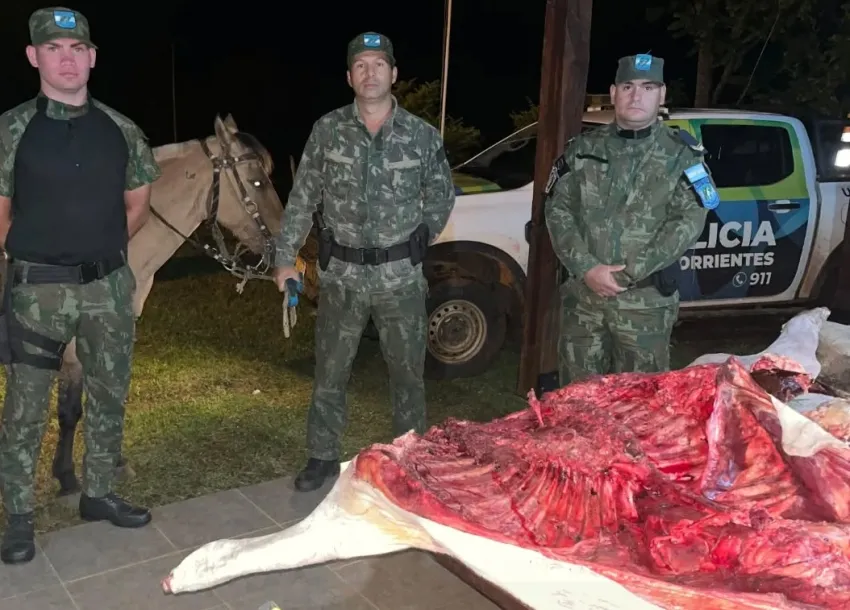 273849w850h610c.jpg.webp Ataque armado a la Policía Rural en Corrientes: los delincuentes abandonaron carne faenada