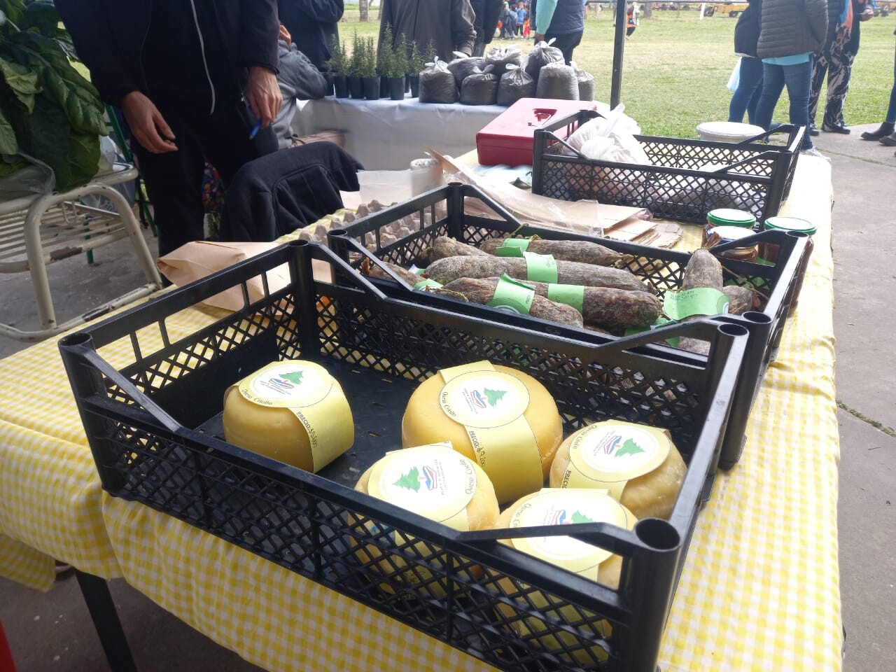 292f46ab-b1b1-48e0-b0f4-a320302c4cdf.jpg 292f46ab-b1b1-48e0-b0f4-a320302c4cdf.jpg