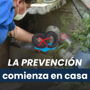 300-X-300 (1) (1).gif