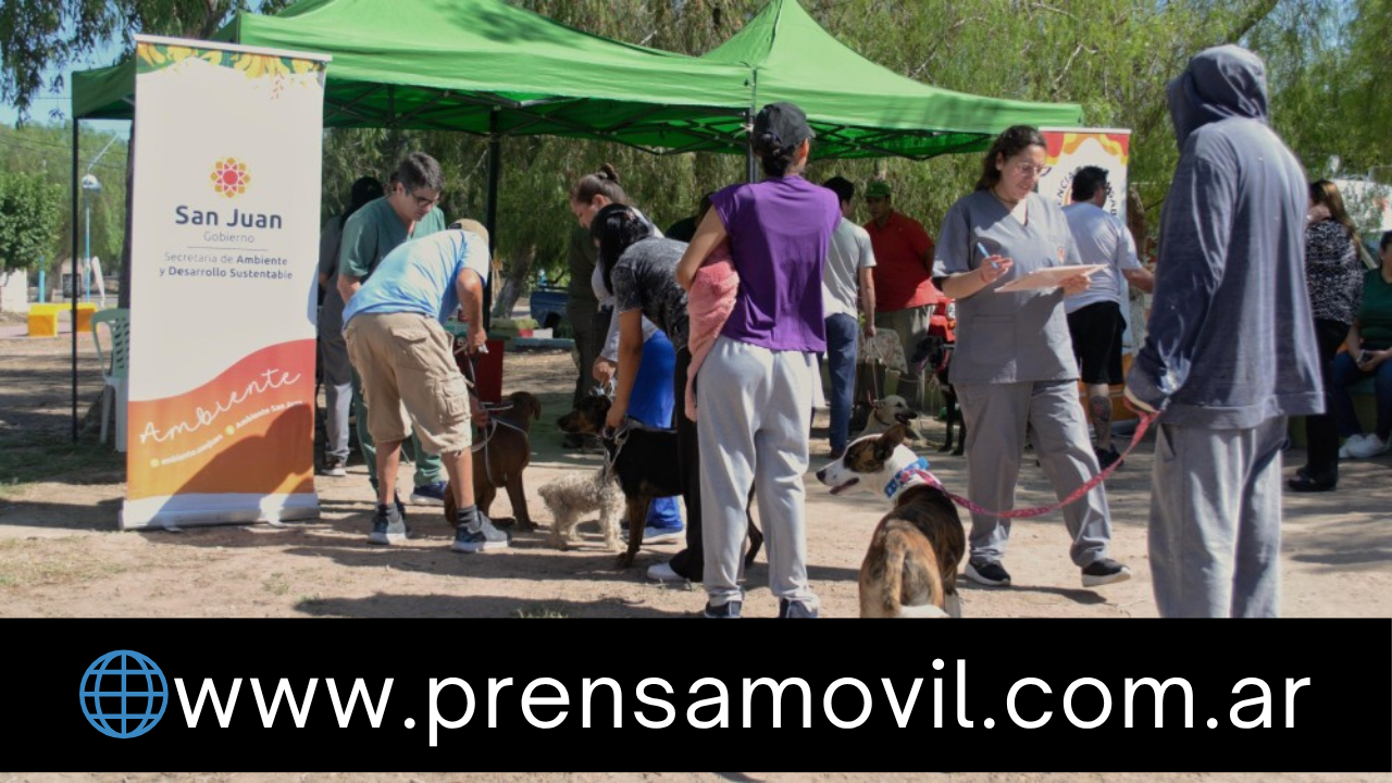 33981.png Quirófano móvil en Sarmiento: esterilización y vacunación gratuita para mascotas