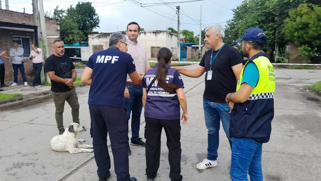«Vos sos rati, hoy te toca a vos o me toca a mí»