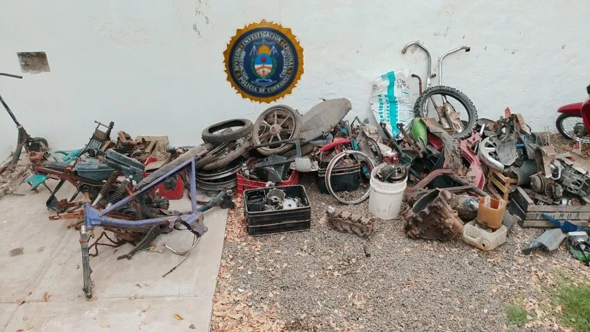 40b51d02-0d28-4e20-b279-3eaf648e8e7f.jfif 40b51d02-0d28-4e20-b279-3eaf648e8e7f.jfif