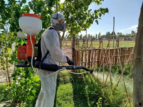La Municipalidad de 9 de Julio, a través del área de Servicios, avanza con el operativo de fumigación en todo el departamento