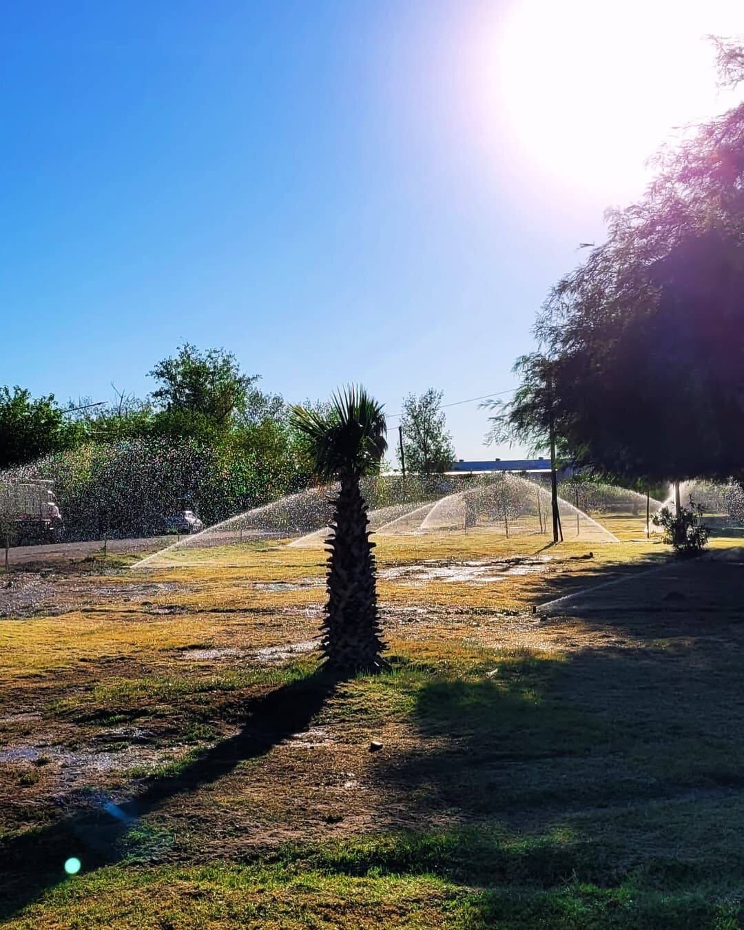 Un nuevo espacio verde en Sarmiento se suma al riego por aspersión