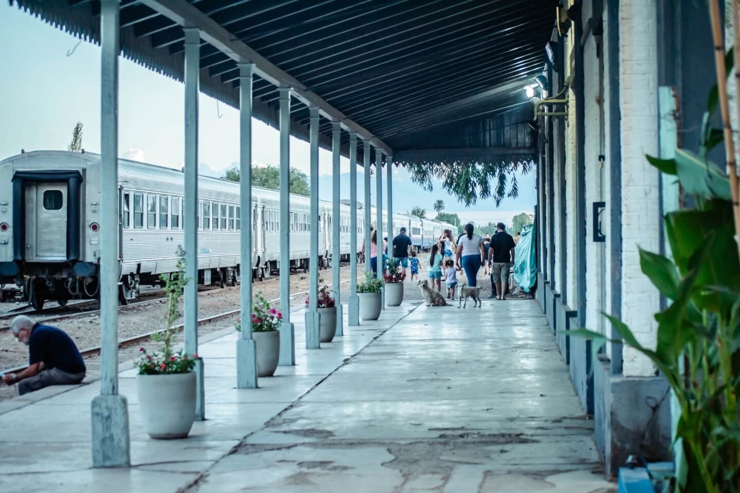 Cientos de cauceteros y cauceteras se acercaron a vivir la emoción de recorrer los vagones del Tren Solidario y descubrir las reliquias del Museo Nacional Ferroviario.