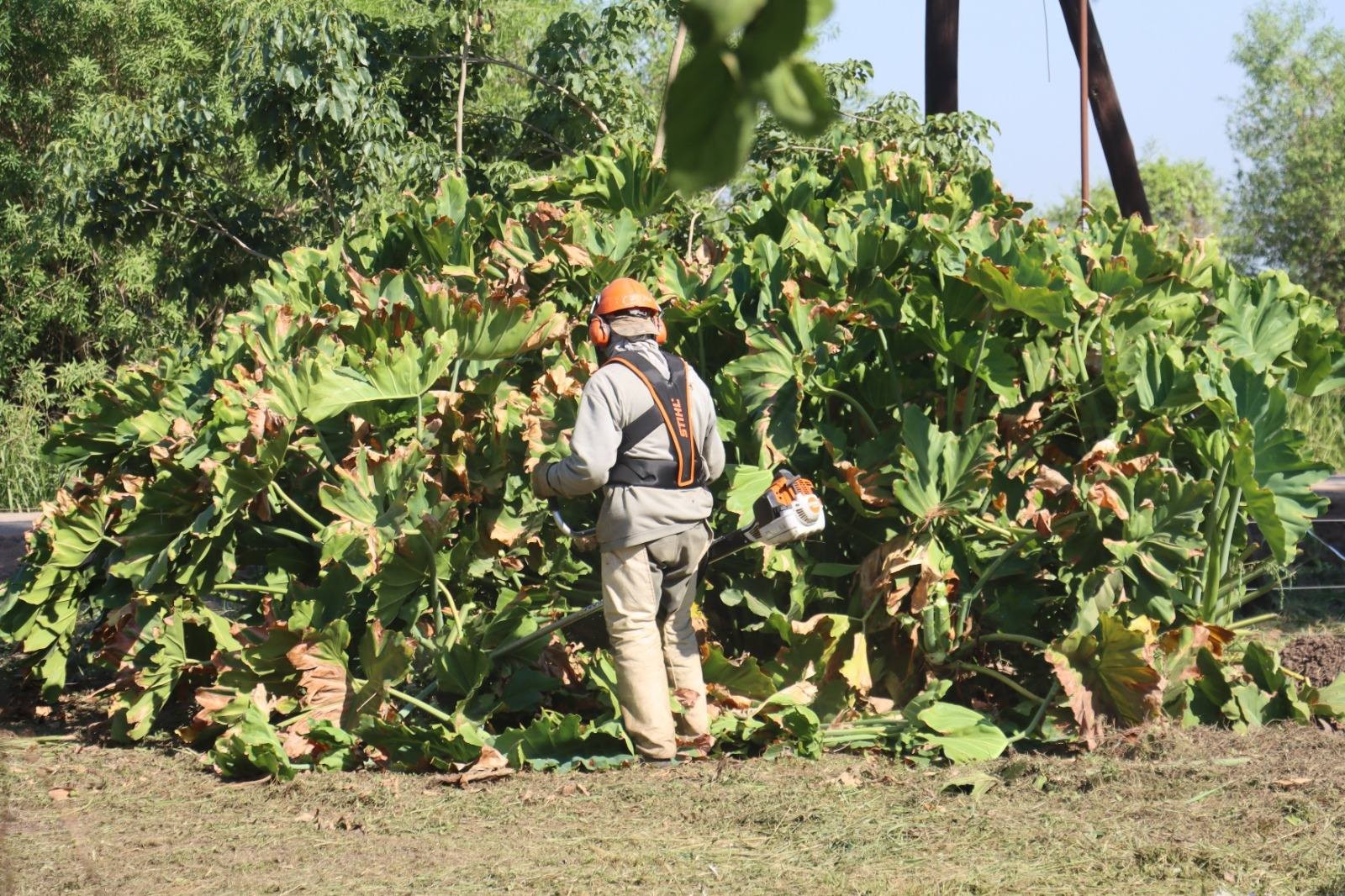 485955776_1068313358668879_3510363327871888575_n.jpg