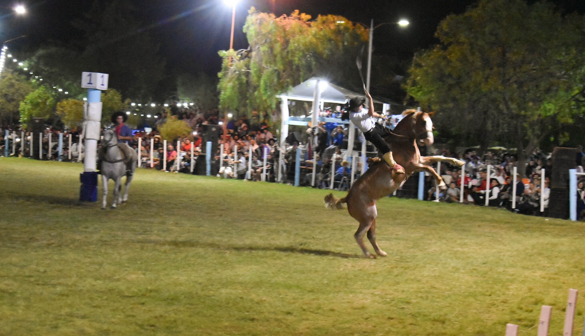 487853451_1077232457765239_4893337338484537516_n.jpg 487853451_1077232457765239_4893337338484537516_n.jpg