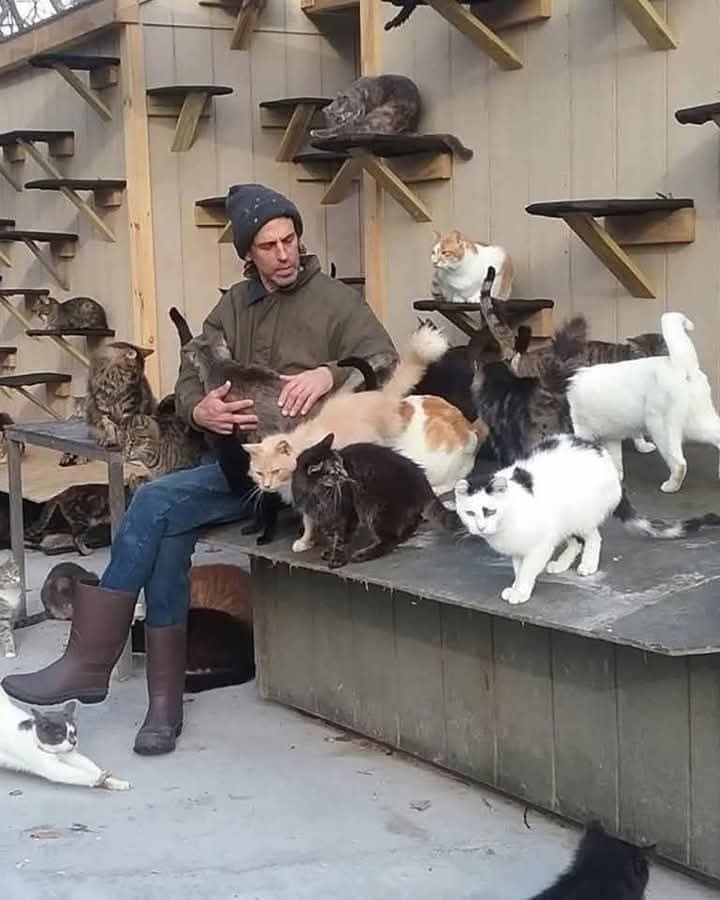 Tragedia en el santuario Happy Cat Sanctuary Estados Unidos