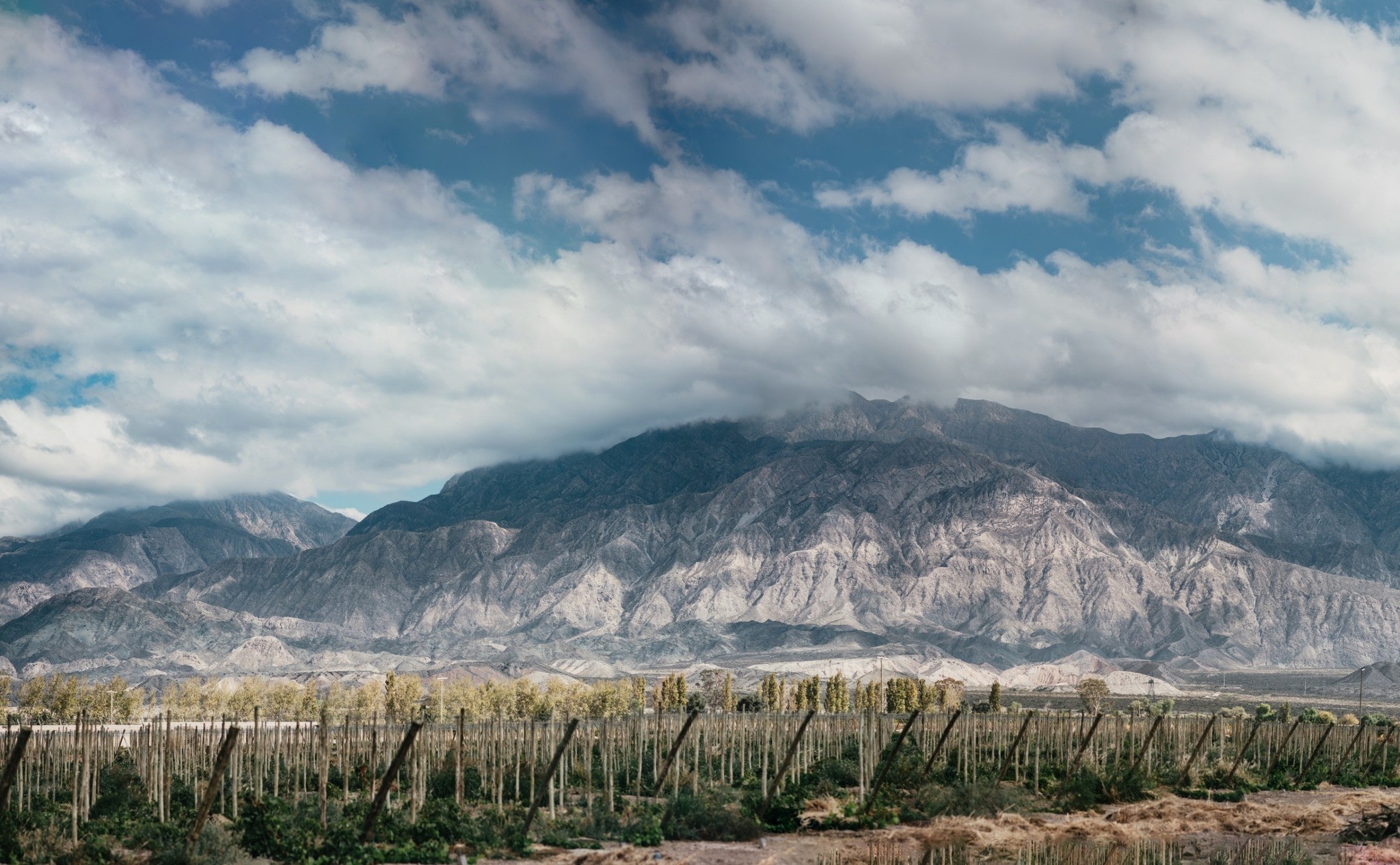 Pocito vivio un fin de semana largo con actividades que ayudaron a  desconectar y recargar energías y compartir lindos momentos en lugares llenos de  calidez.