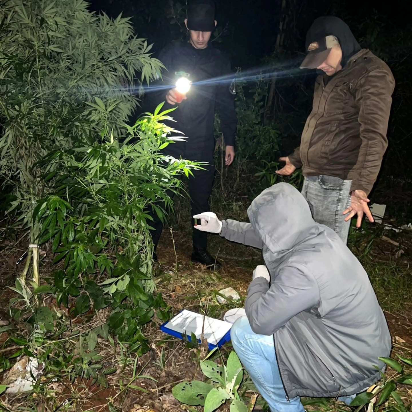 SAN PEDRO: Secuestran droga valuada en siete millones oculta en una construcción
