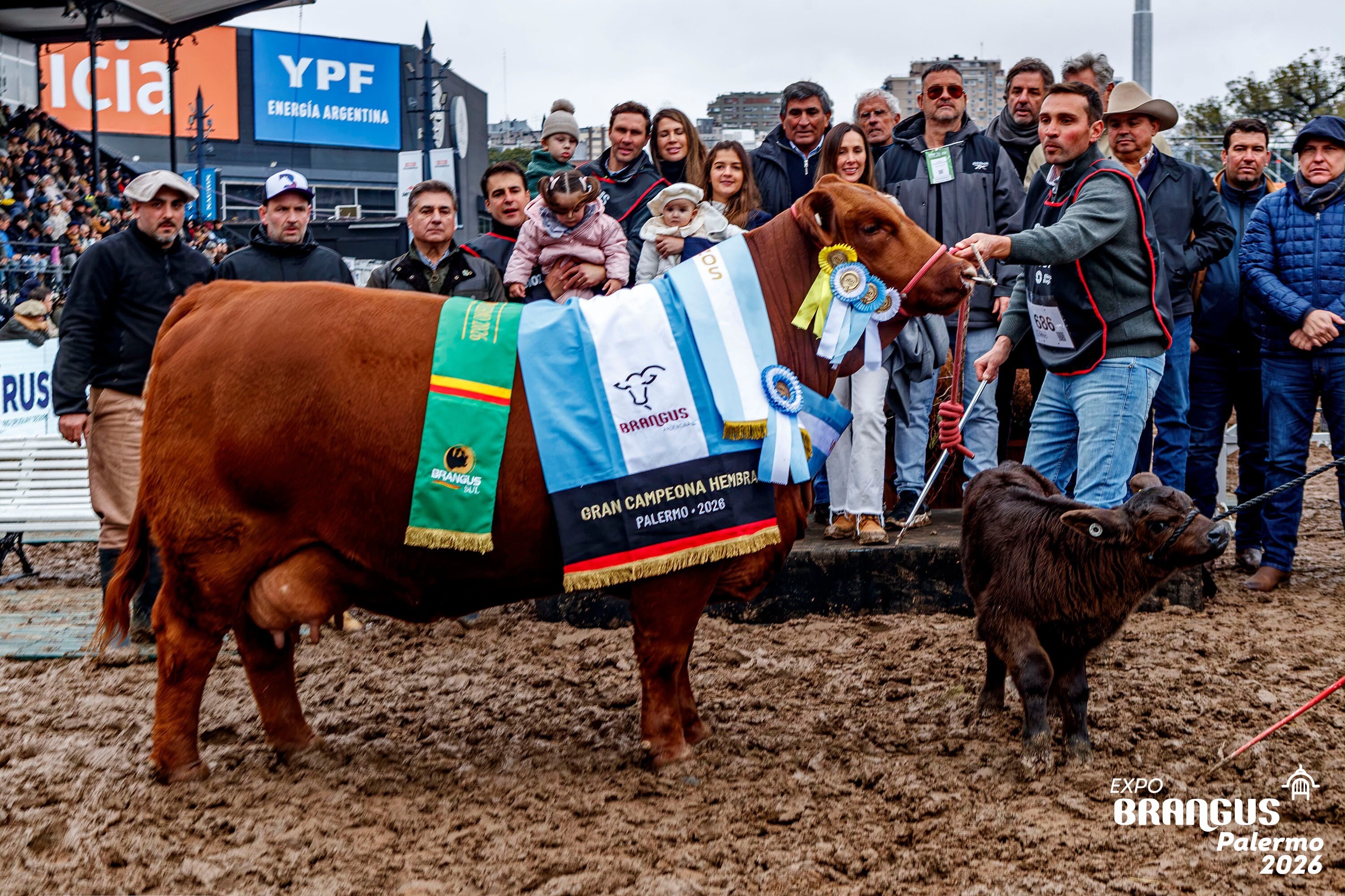 ORGULLO CHAQUEÑO EN PALERMO: CABAÑAS DE LA PROVINCIA BRILLARON EN LA EXPOSICIÓN RURAL CON IMPORTANTES PREMIOS