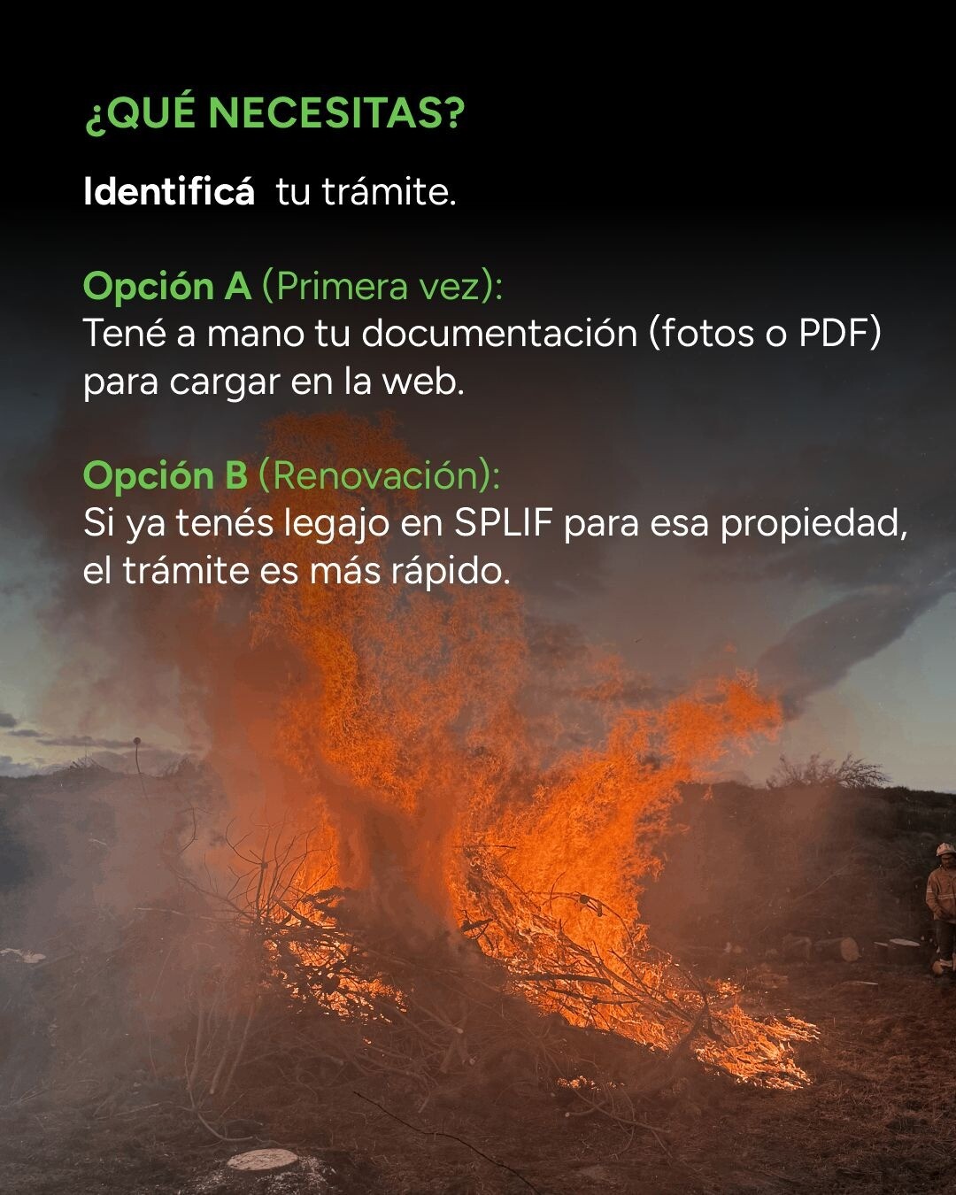 4bb49234-df92-48b5-af1c-e6ff445f9951