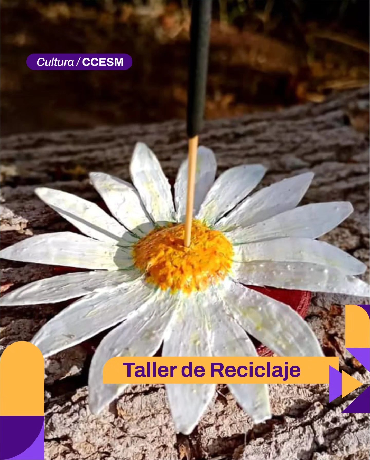 El municipio de la Ciudad de San Juan te invita a que te sumes al Taller de Reciclaje.