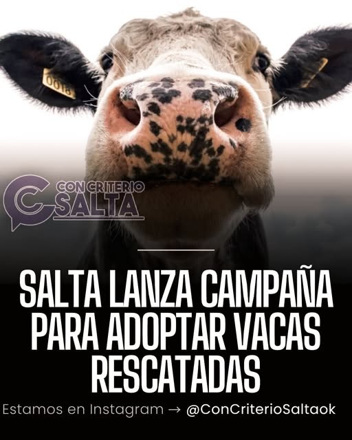 «Adoptá una vaca, adoptá una amiga”