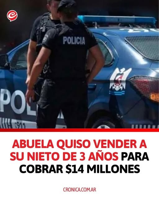 Aberrante hecho en Mendoza , abuela intenta venbder a su nieto de 3 años , aca la historia.