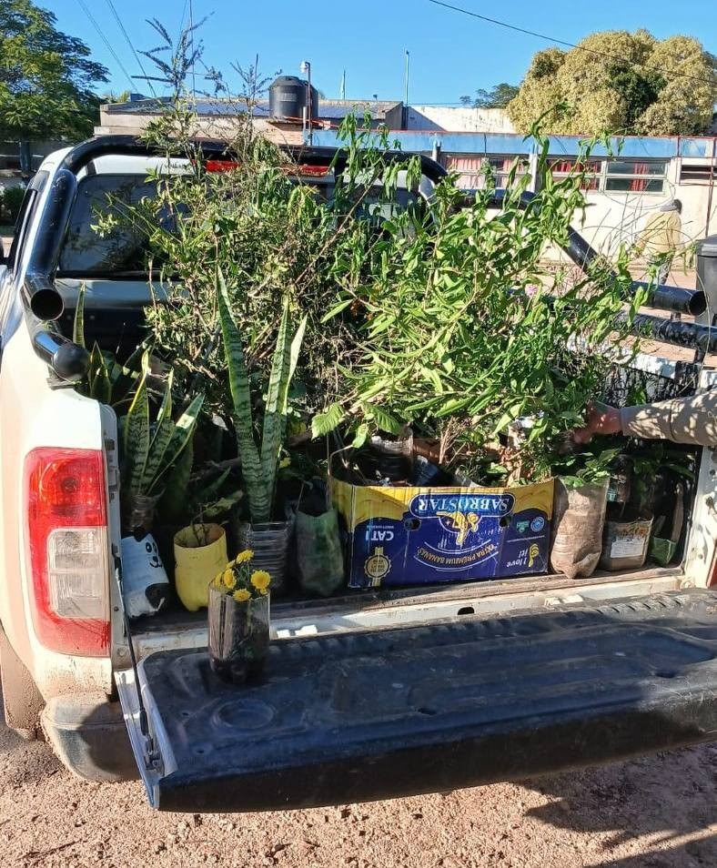 TRES ISLETAS: EL MUNICIPIO DA LAS GRACIAS POR SEMBRAR AMOR Y CUIDADO POR LA NATURALEZA