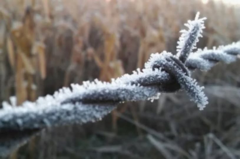 🥶 Ola polar en Arenaza: se espera la madrugada más fría del año ❄️