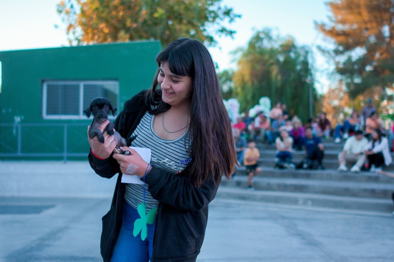 El municipio de San Martin desde el Centro Municipal de Salud Animal, llevara adelante un nuevo operativo de vacunación antirrábica para perros y gatos.