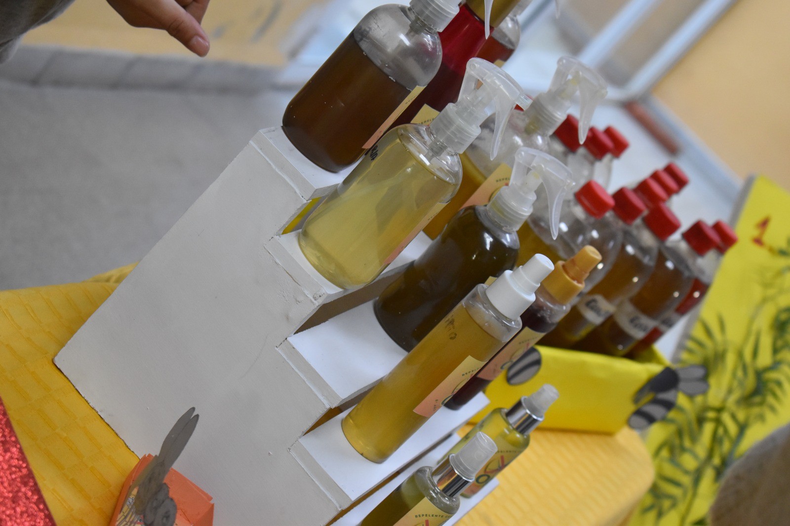 3ª EXPOSICIÓN DE FERIA DE CIENCIAS DE LA EFA «MENSÚ PEGUARÂ