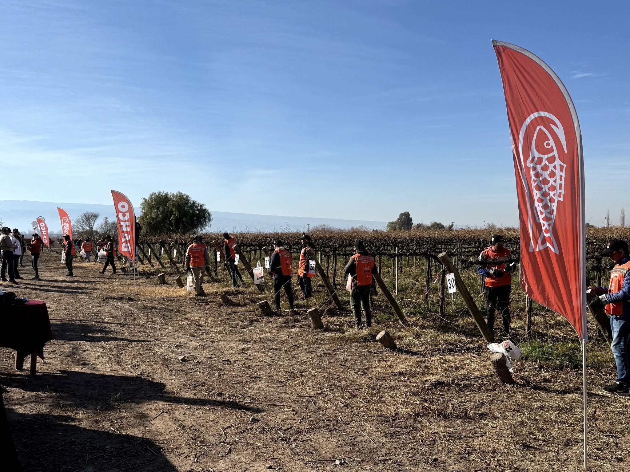 El municipio de  9 de Julio fue sede de la 4° edición del Concurso de Poda Profesional en Vid, organizado por SOEVA, Bahco y Finca Las Moras, con el acompañamiento de nuestra gestión.