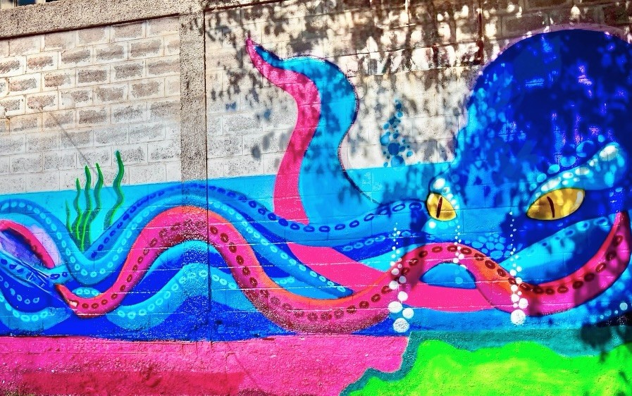 Todo aquel que visita o vive  en Santa Lucía se encuentra en cada rincón  algo que nos representa en una pintura señalo el intendente Juan Jose Orrego.