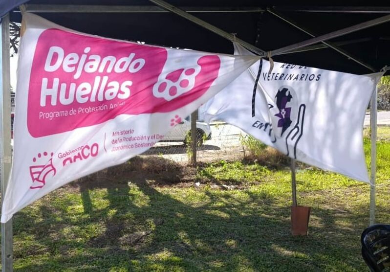 MÁS DE 100 ANIMALES ATENDIDOS EN EL OPERATIVO “DEJANDO HUELLAS” EN LA UNNE