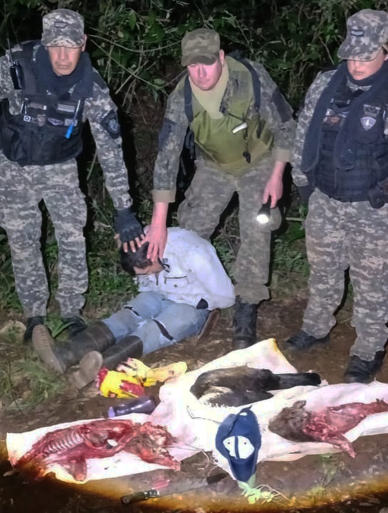 Policía de Misiones refuerza los operativos rurales para proteger la fauna y flora silvestre
