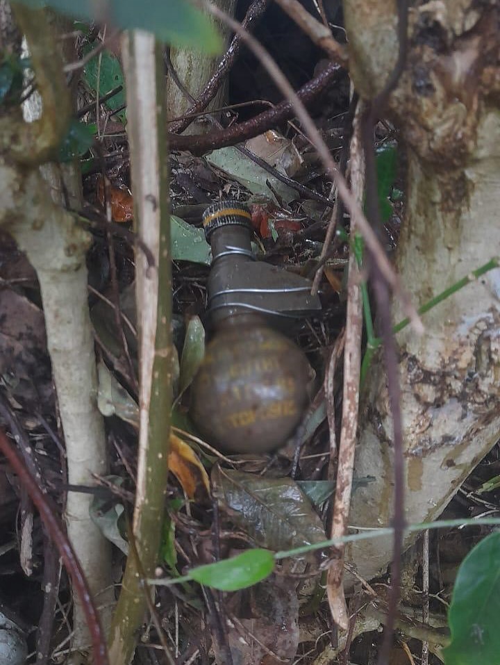Bomberos anti-explosivos retiraron una granada del frente de una vivienda en Bernardo de Irigoyen