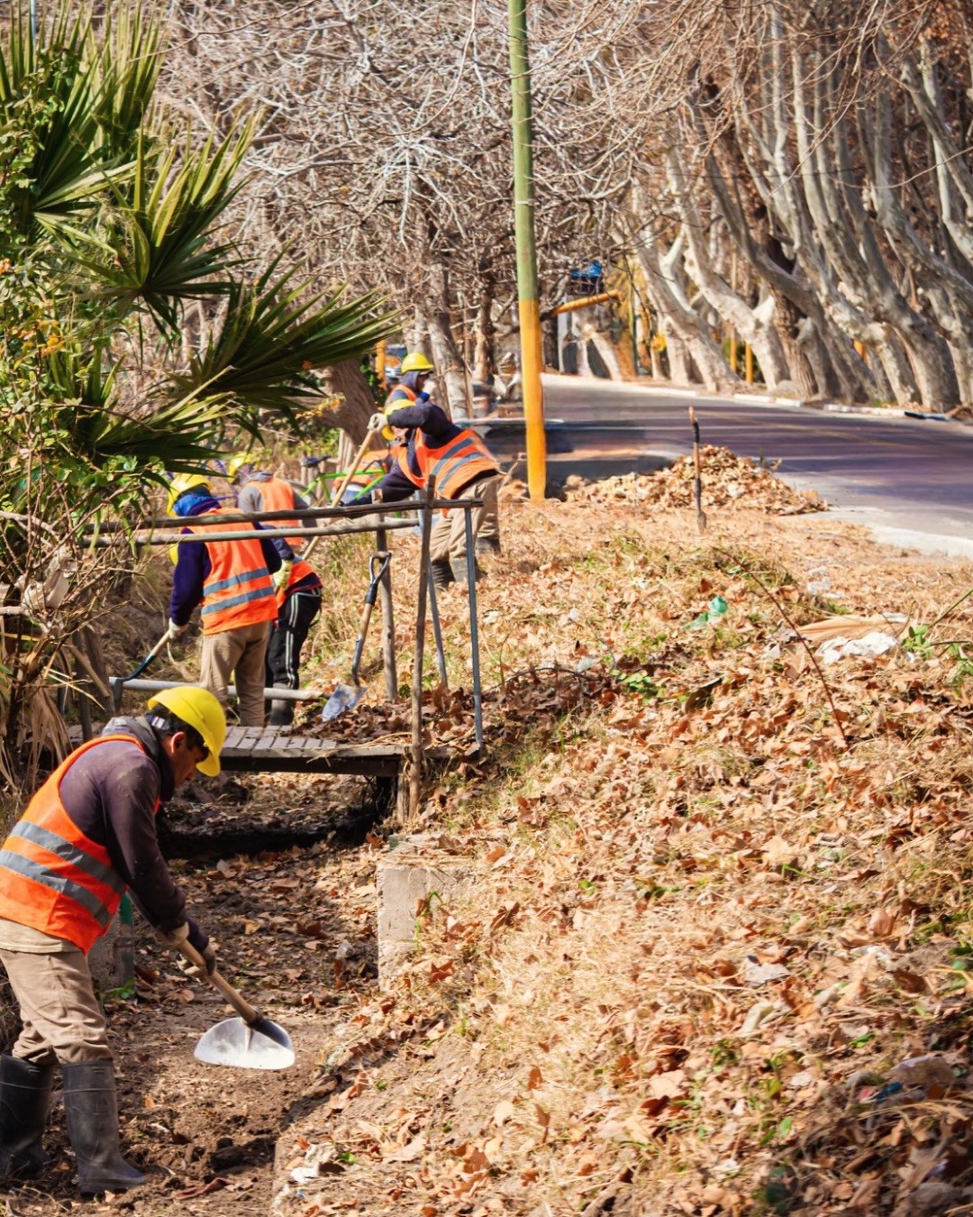 El municipio de Santa Lucia continua llevando adelante trabajos de limpieza en distintos sectores del departamento.