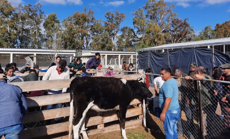 53412.jpg Una tecnicatura agroindustrial ahora tiene dictado compartido en Ullum y Zonda.