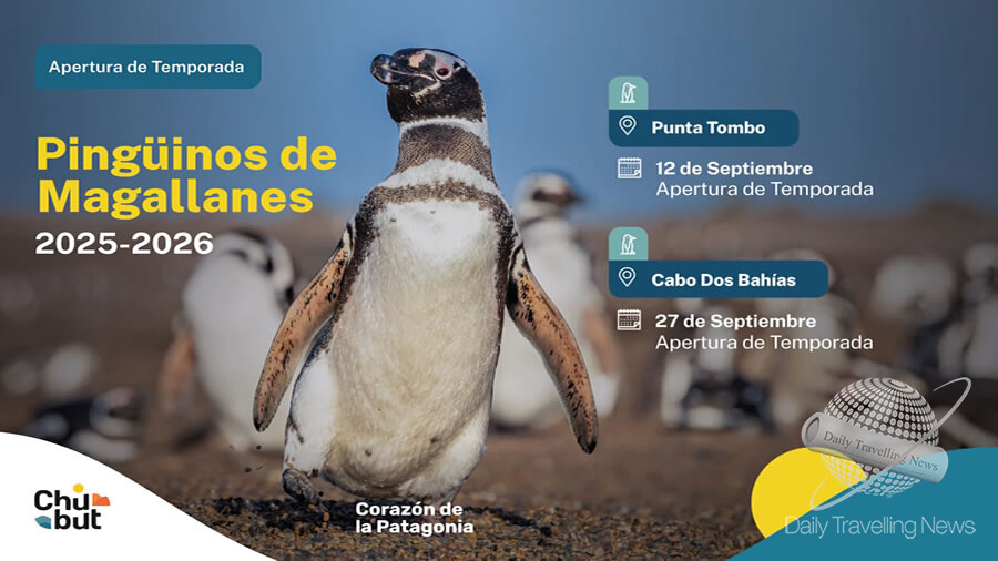 53971.jpg Inicio de la Temporada de Pingüinos de Magallanes 2025/2026 en Chubut