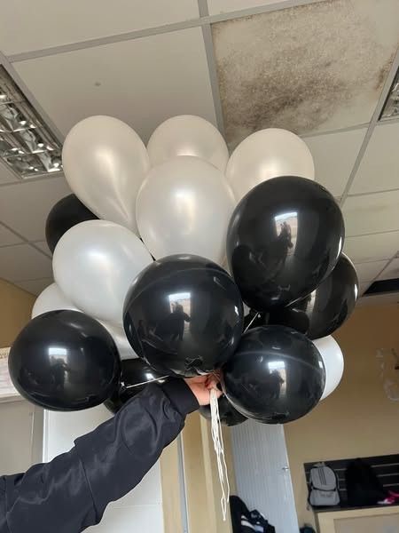 540895243_1393037549494390_5344386682686327703_n.jpg 540895243_1393037549494390_5344386682686327703_n.jpg