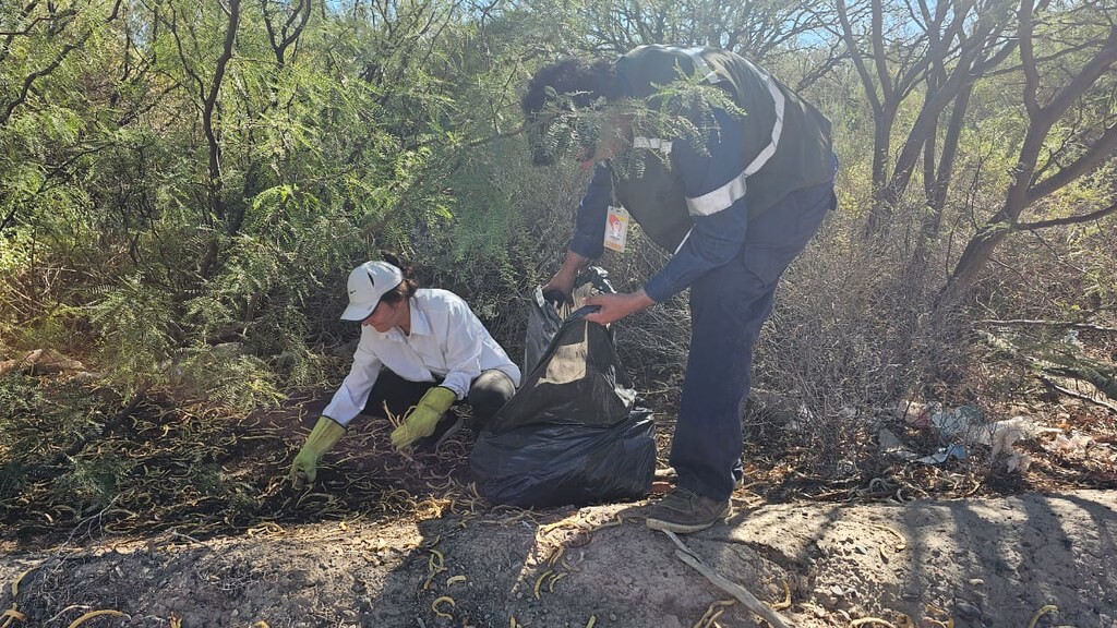 Ambiente inició la recolección de semillas para el Vivero de Plantas Nativas