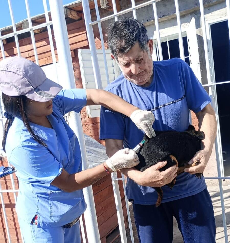 El municipio de 9 de Julio comenzó con una campaña puerta a puerta para el cuidado de las mascotas del departamento.
