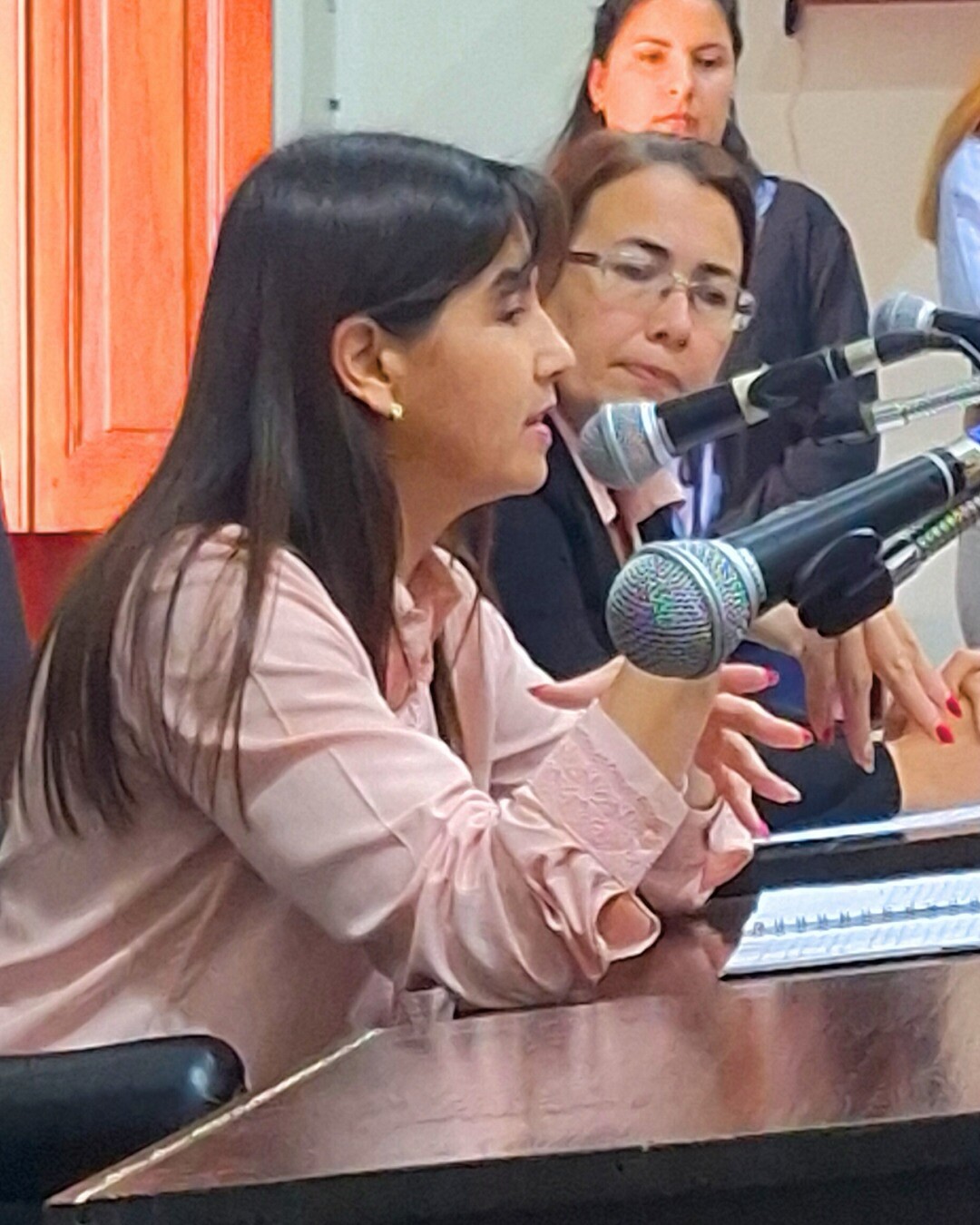 Norma Castillo desde el Honorable Concejo Deliverante impulsa y propone Nuevos Proyectos