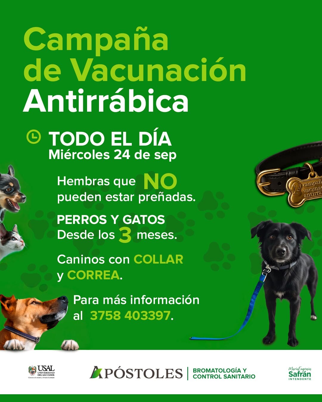 Este miércoles 24 de septiembre se Realizará la Campaña de Vacunación Antirrábica en Apóstoles