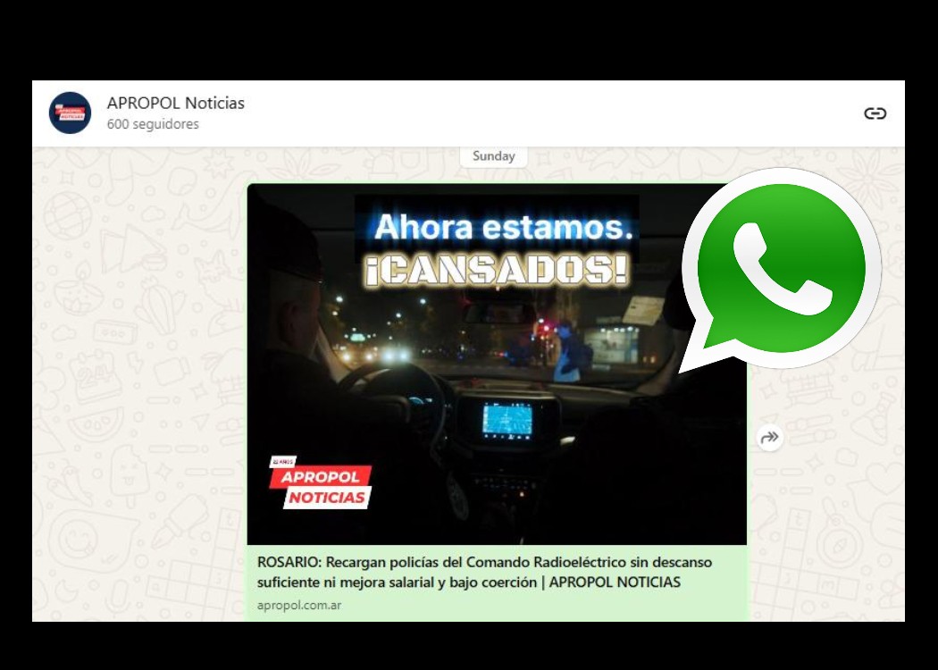 Ya somos más de 600 en nuestro canal oficial de WhatsApp