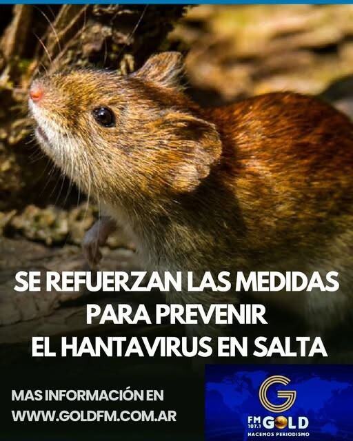 602320023_1210919387847377_4166935544310852036_n.jpg SE REFUERZAN LAS MEDIDAS PARA PREVENIR EL HANTAVIRUS EN SALTA