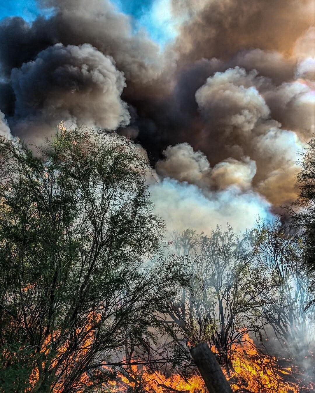 Incendio en zona de campo, Carmensa al sur