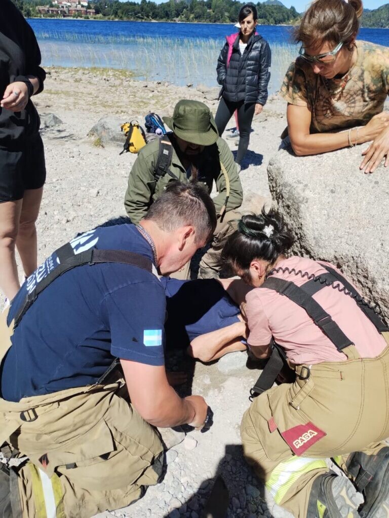 Intervención inmediata del Municipio ante tres situaciones de emergencia