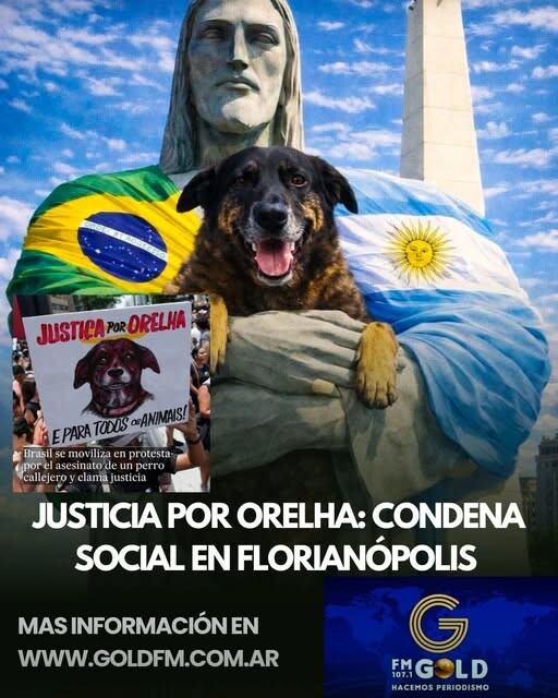 JUSTICIA POR ORELHA: CONDENA SOCIAL EN FLORIANÓPOLIS