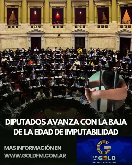 DIPUTADOS AVANZA CON LA BAJA DE LA EDAD DE IMPUTABILIDAD