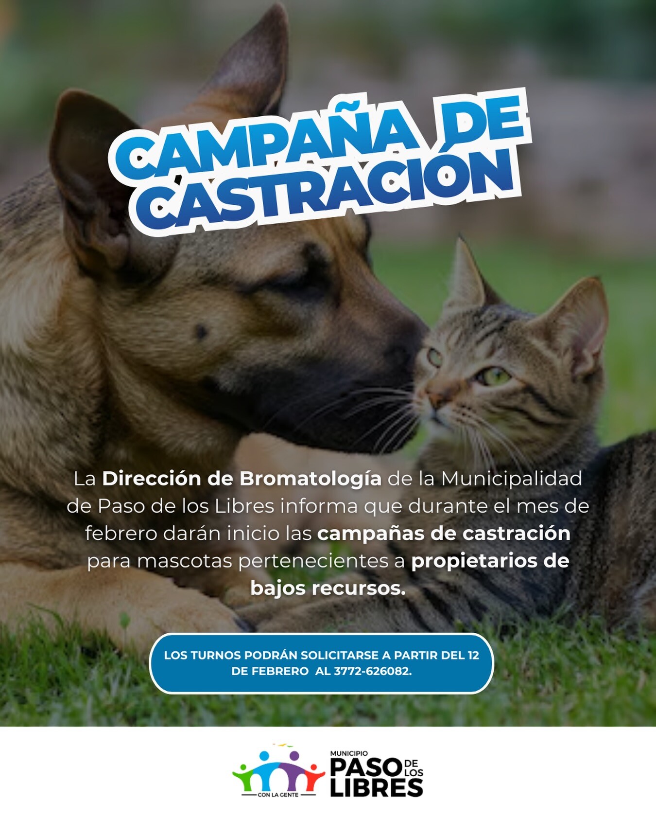 En febrero darán inicio las campañas de castración para mascotas