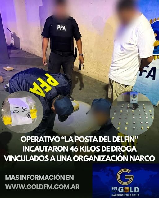 OPERATIVO “LA POSTA DEL DELFÍN”: INCAUTARON 46 KILOS DE DROGA VINCULADOS A UNA ORGANIZACIÓN NARCOCRIMINAL