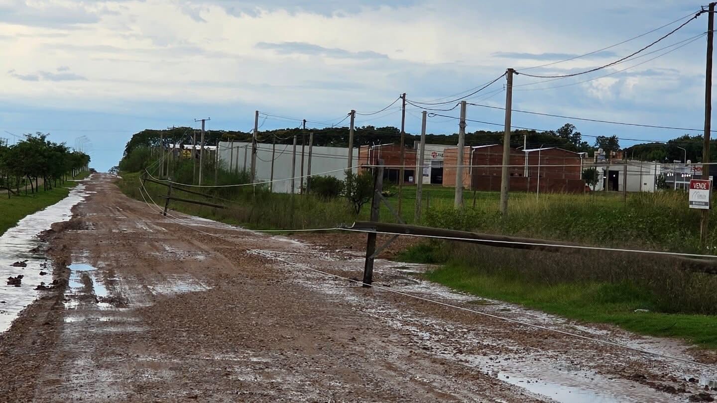 638307085_1600034727768150_3982619797174767809_n.jpg 638307085_1600034727768150_3982619797174767809_n.jpg