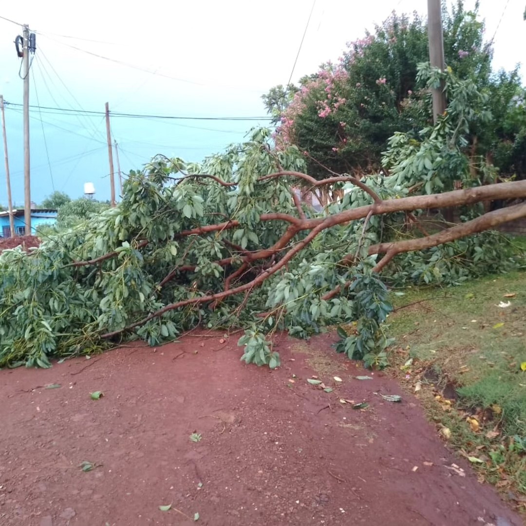 Fuerte tormenta con intensas lluvia afecto gran parte de Obera